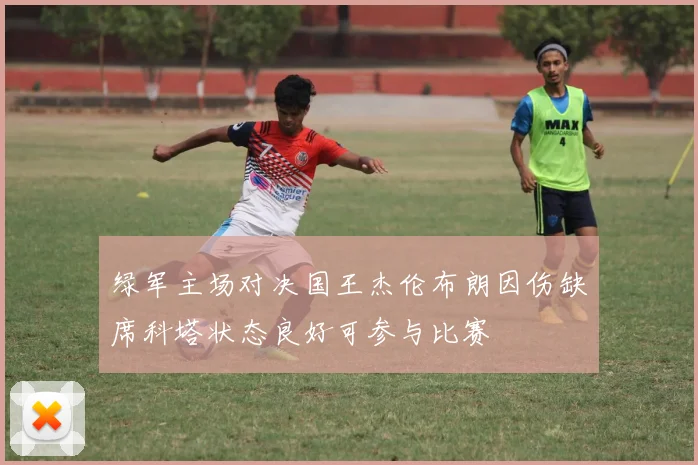 绿军主场对决国王杰伦布朗因伤缺席科塔状态良好可参与比赛