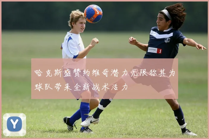 哈克斯盛赞约维奇潜力无限称其为球队带来全新战术活力