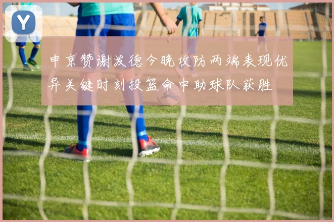 申京赞谢泼德今晚攻防两端表现优异关键时刻投篮命中助球队获胜